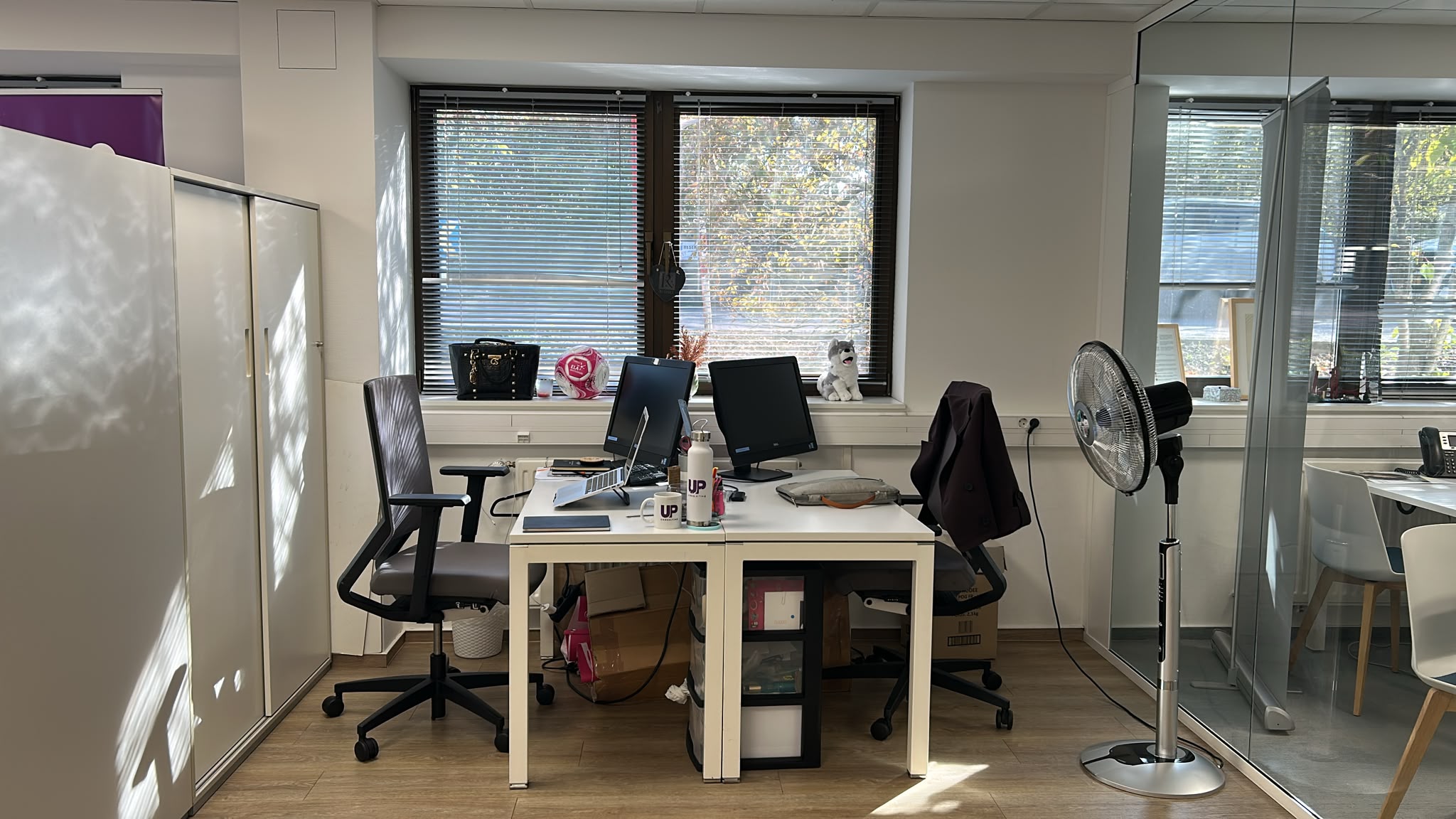 Deux bureaux blancs devant une fenêtre, avec un ballon rose ELA sur le rebord, dans les locaux d'Up Consulting